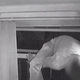 Illustration for article titled Fully-Furnished Fake Houses in UK Run Solely to Trap Burglars